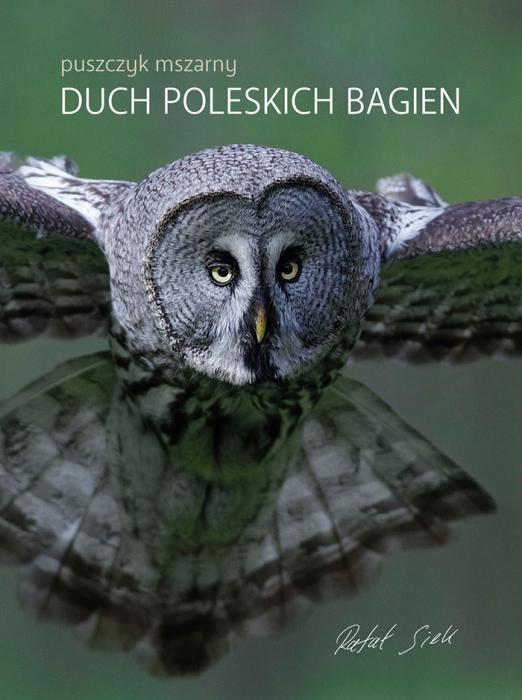 Puszczyk mszarny — Duch poleskich bagien