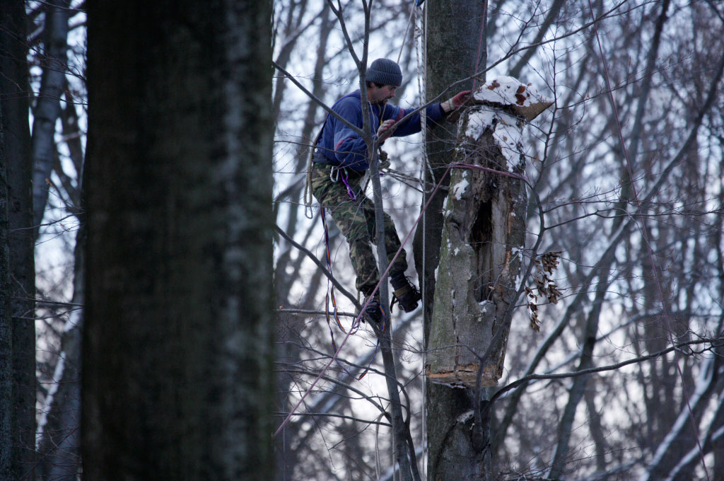 Roztocze, listopad 2007, wieszanie budki dla urala. Fot. Artur Tabor
