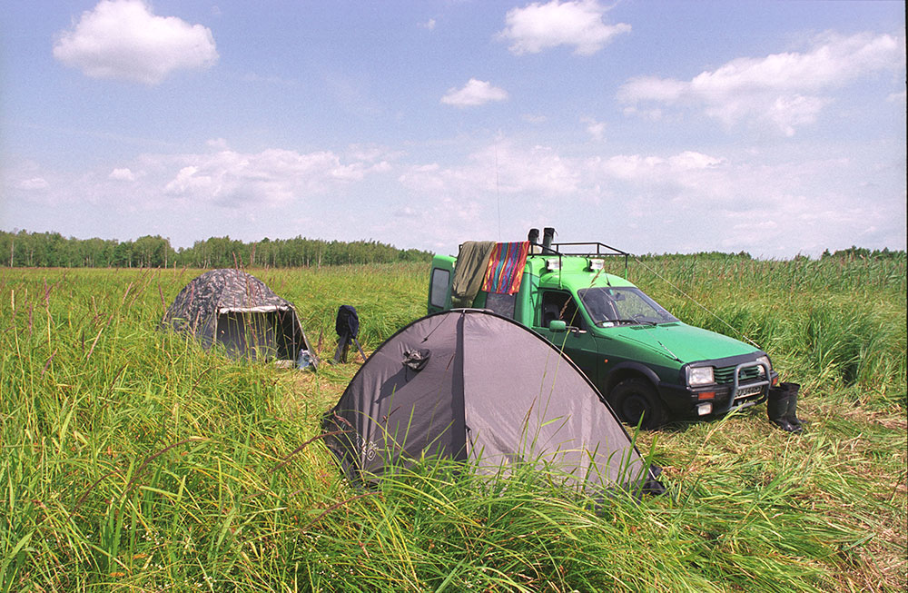 Biebrza, czerwiec 2008