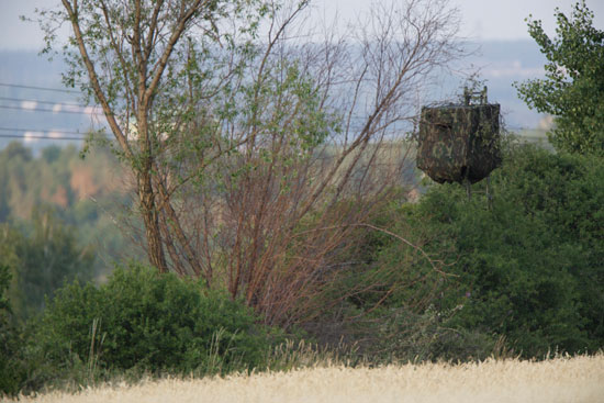 Góry Świętokrzyskie, lipiec 2006